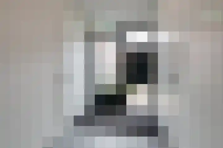 Wilhelminastraat 44 g Didam thumbnail 12