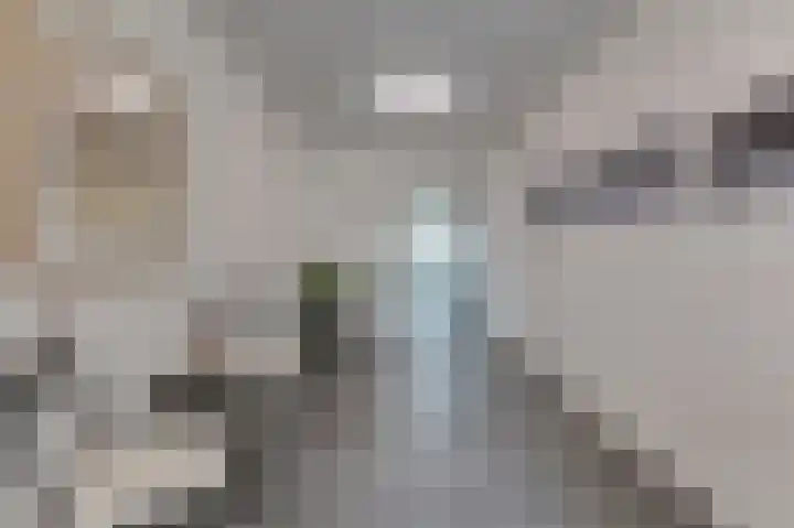 Wilhelminastraat 44 g Didam thumbnail 13