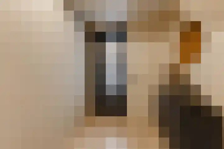 Wilhelminastraat 44 g Didam thumbnail 16