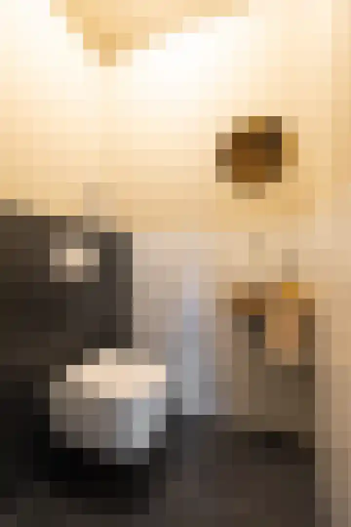 Wilhelminastraat 44 g Didam thumbnail 19