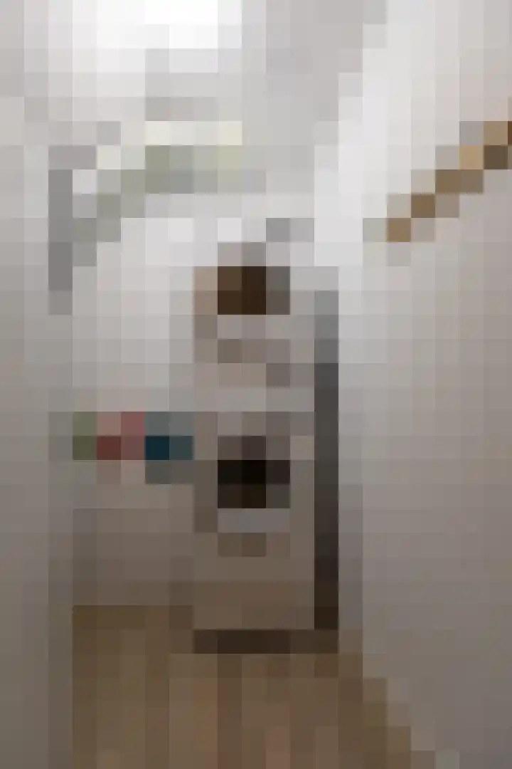 Wilhelminastraat 44 g Didam thumbnail 22
