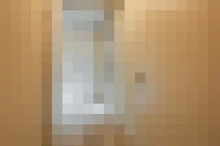 Wilhelminastraat 44 g Didam thumbnail 23