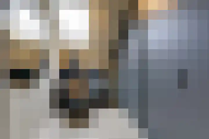 Wilhelminastraat 44 g Didam thumbnail 24
