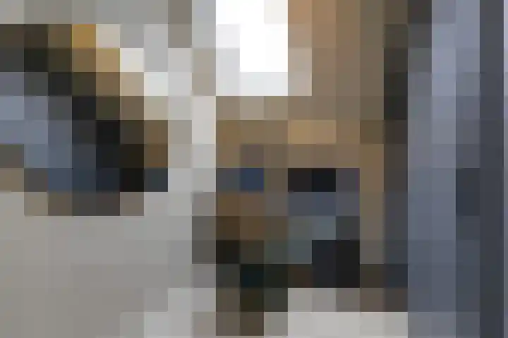 Wilhelminastraat 44 g Didam thumbnail 25