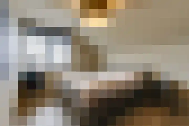 Wilhelminastraat 44 g Didam thumbnail 4