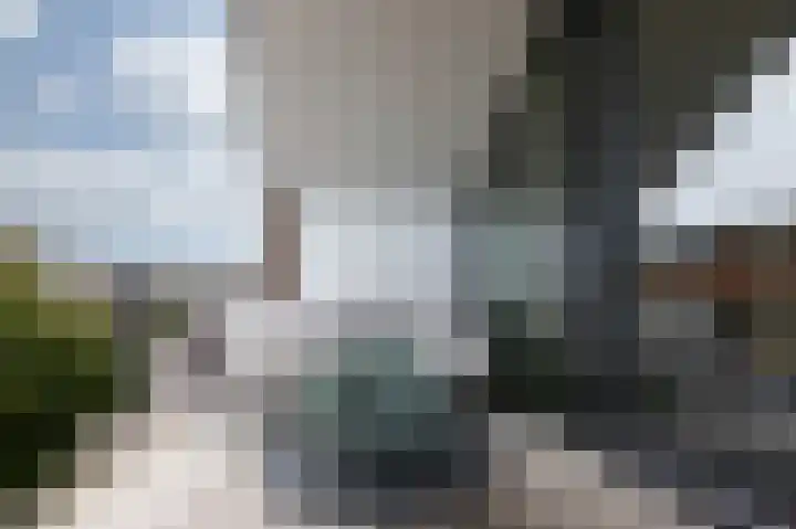 Wilhelminastraat 44 g Didam thumbnail 44
