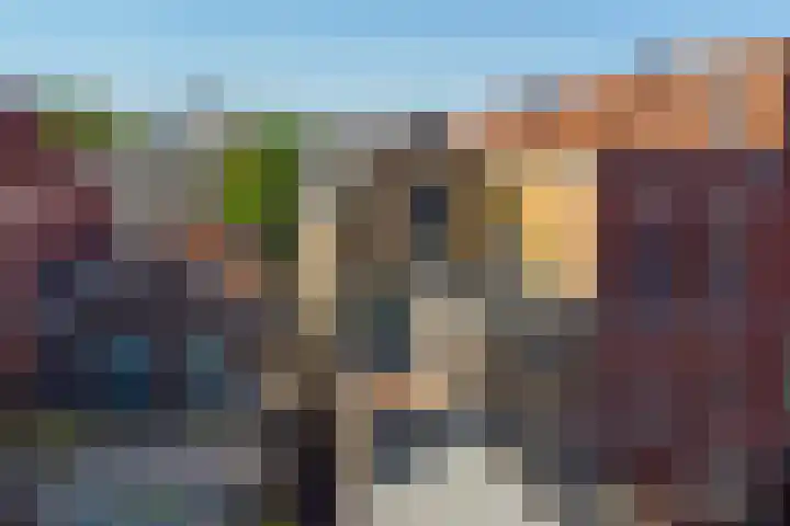 Wilhelminastraat 44 Gouda thumbnail 36