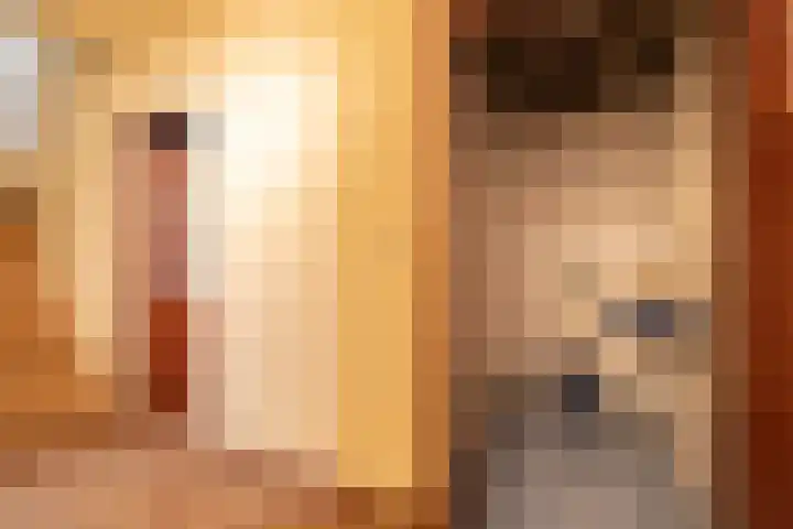 Wilhelminastraat 44 Sappemeer thumbnail 18