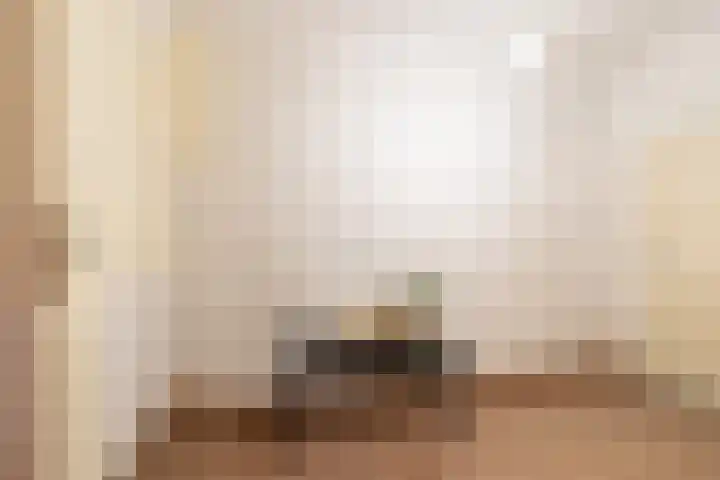 Wilhelminastraat 44 Sappemeer thumbnail 20