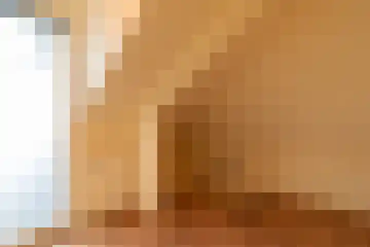 Wilhelminastraat 44 Sappemeer thumbnail 26