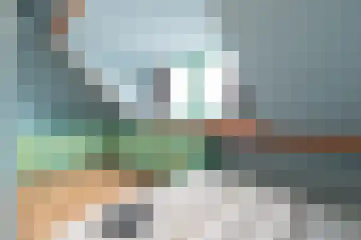 Wilhelminastraat 44 Sappemeer thumbnail 29