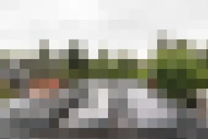 Wilhelminastraat 44 Sappemeer thumbnail 33