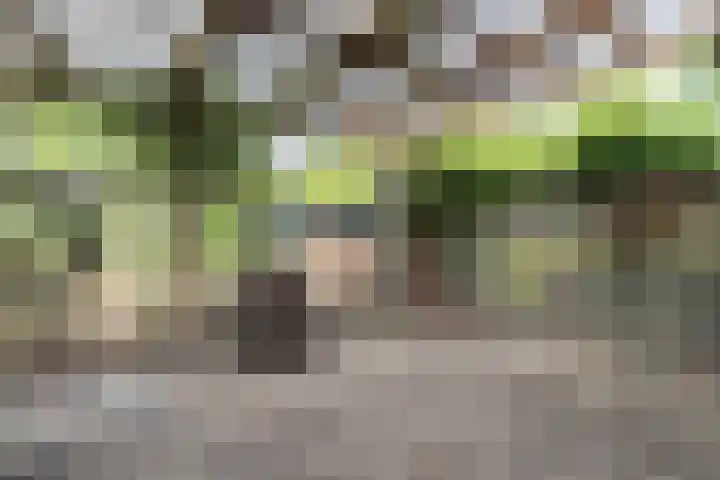 Wilhelminastraat 44 Sappemeer thumbnail 36