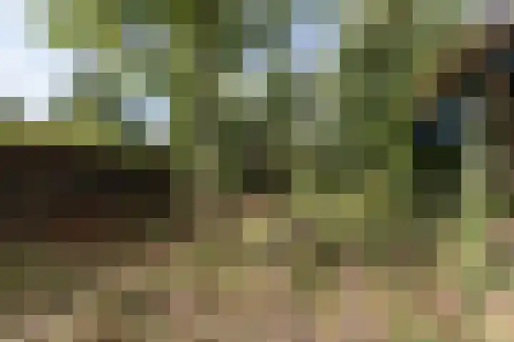 Wilhelminastraat 44 Sappemeer thumbnail 37