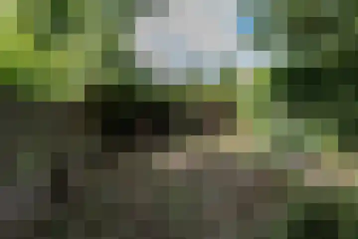 Wilhelminastraat 44 Sappemeer thumbnail 38
