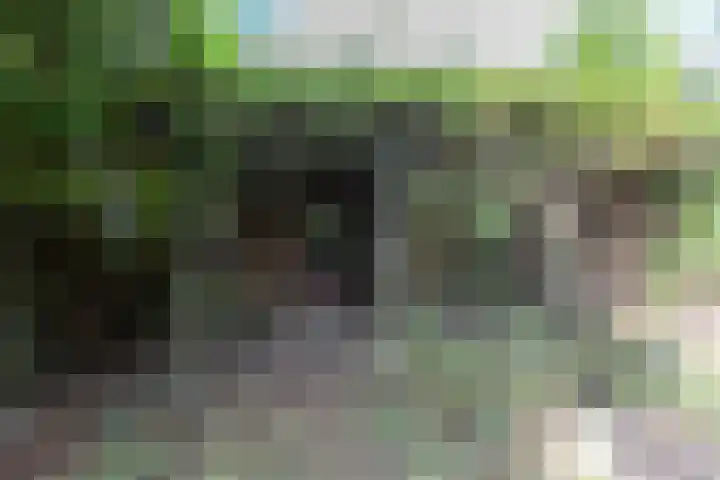 Wilhelminastraat 44 Sappemeer thumbnail 39