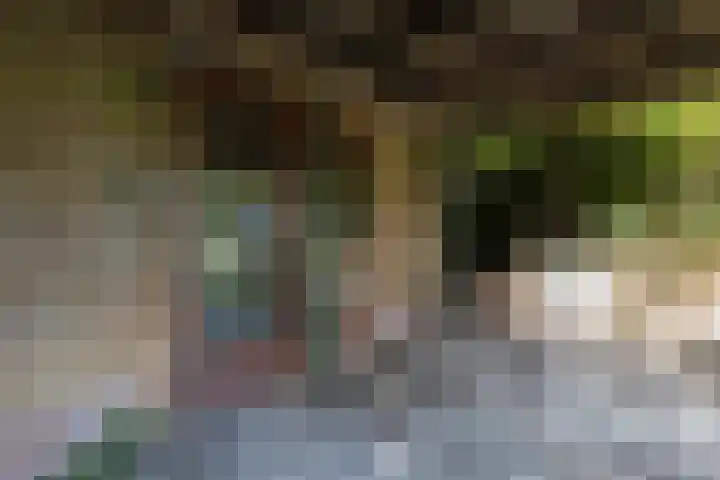 Wilhelminastraat 44 Sappemeer thumbnail 40