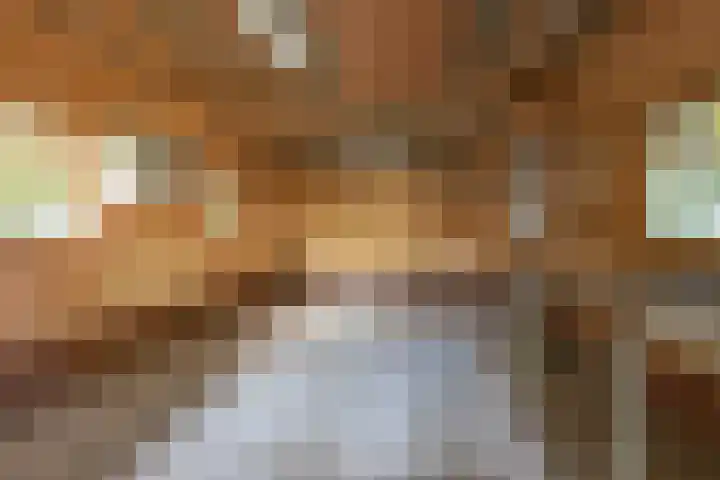 Wilhelminastraat 44 Sappemeer thumbnail 41