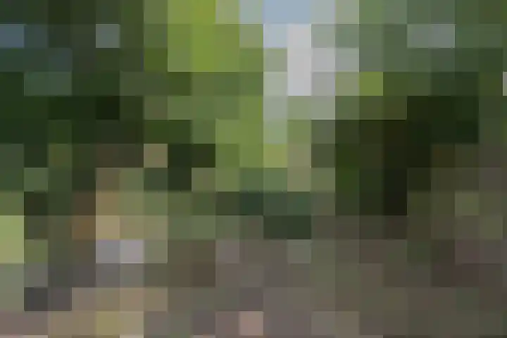Wilhelminastraat 44 Sappemeer thumbnail 42