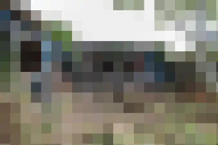 Wilhelminastraat 44 Sappemeer thumbnail 43