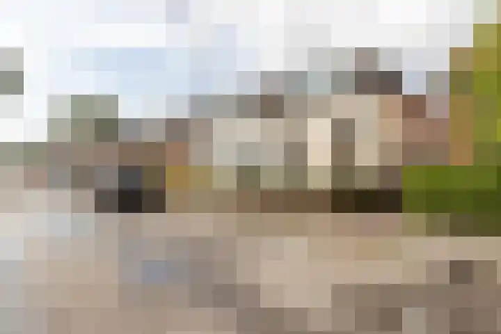 Wilhelminastraat 44 Sappemeer thumbnail 44