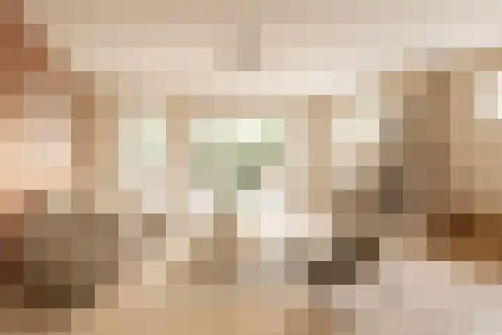 Wilhelminastraat 44 Sappemeer thumbnail 6
