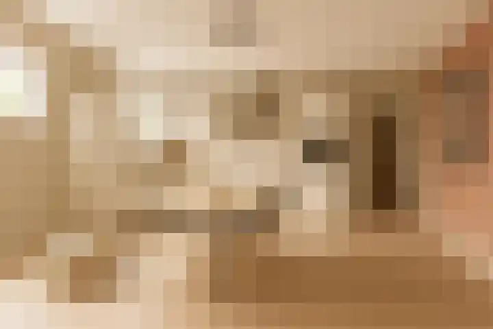 Wilhelminastraat 44 Sappemeer thumbnail 7