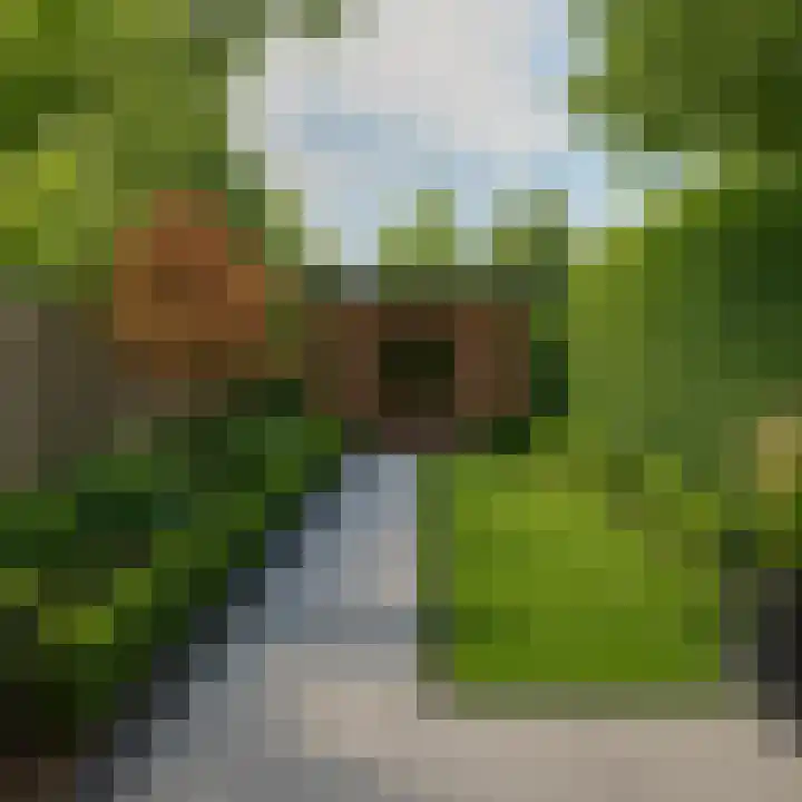 Wilhelminastraat 44 Sappemeer thumbnail 9