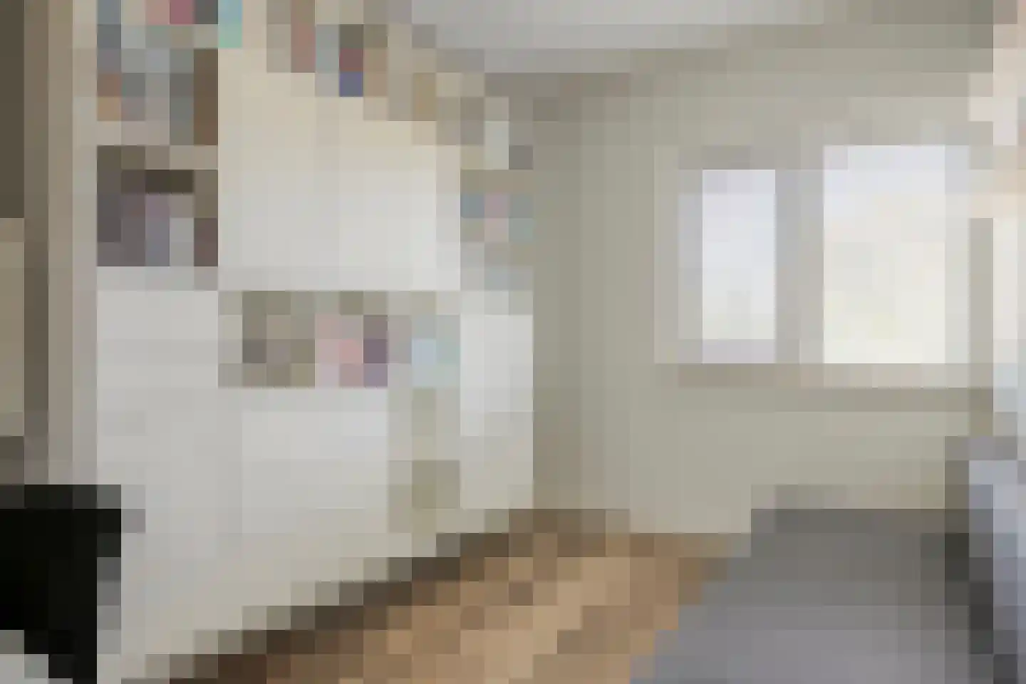 Wilhelminastraat 44 Wissenkerke thumbnail 19