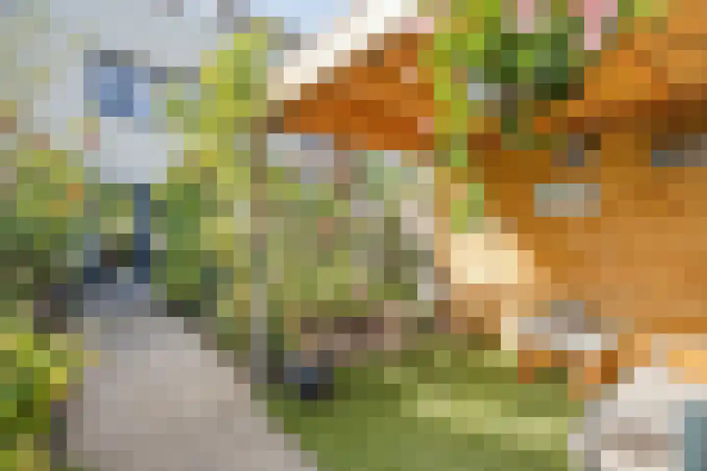 Wilhelminastraat 44 Wissenkerke thumbnail 25
