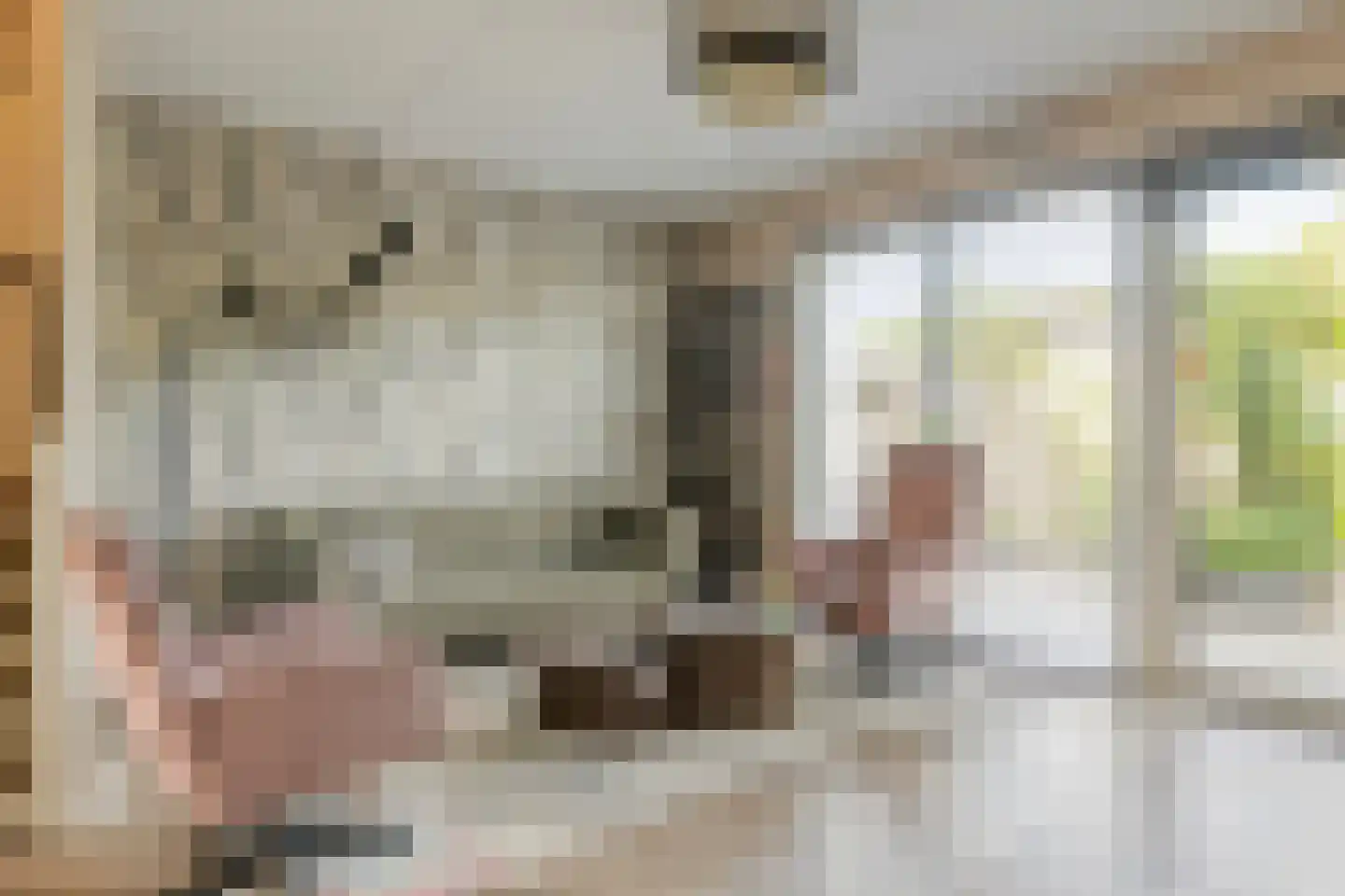 Wilhelminastraat 44 Wissenkerke thumbnail 4