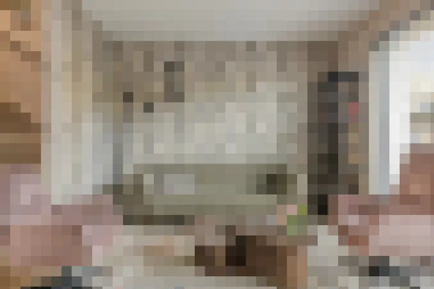 Wilhelminastraat 44 Wissenkerke thumbnail 5