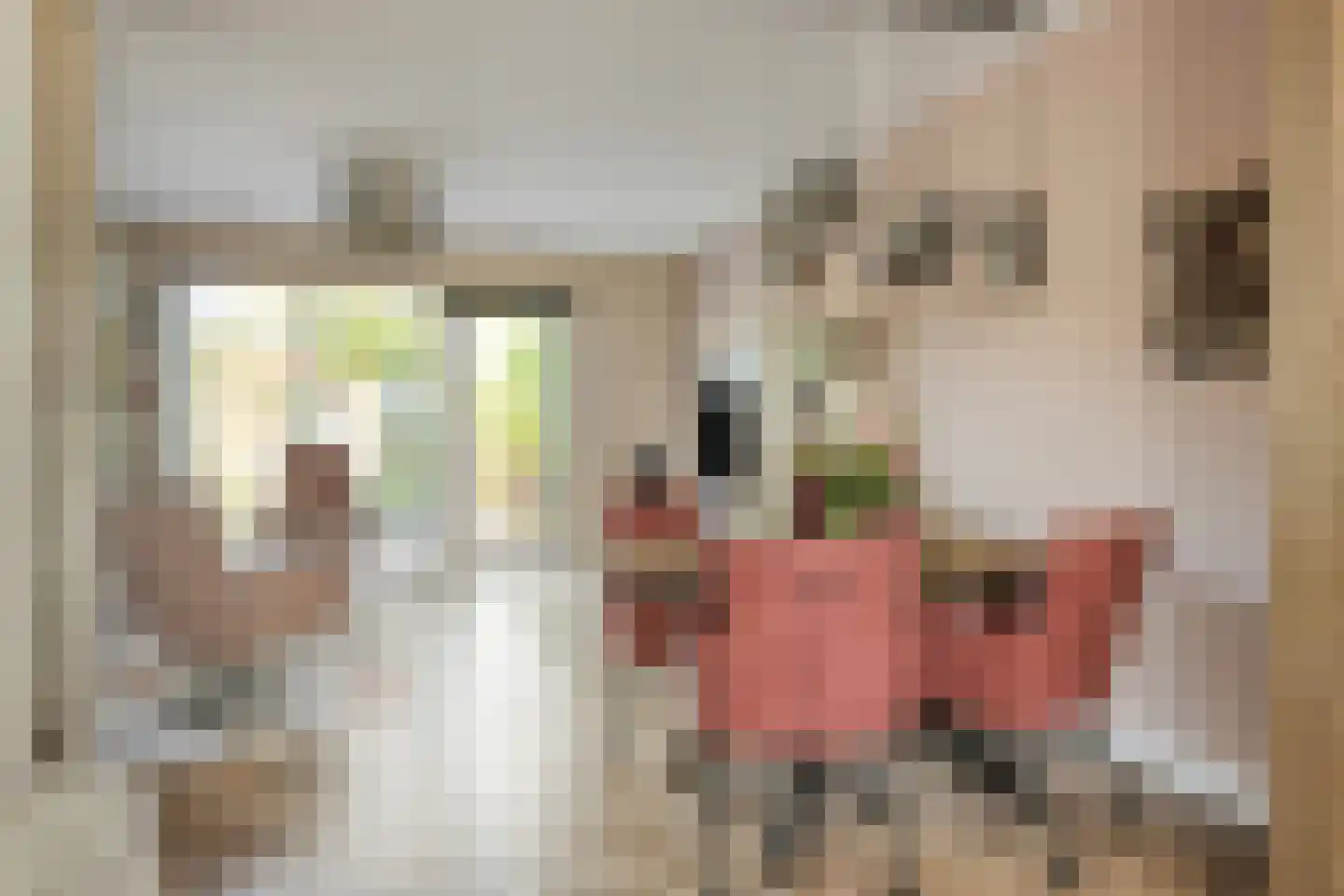 Wilhelminastraat 44 Wissenkerke thumbnail 6