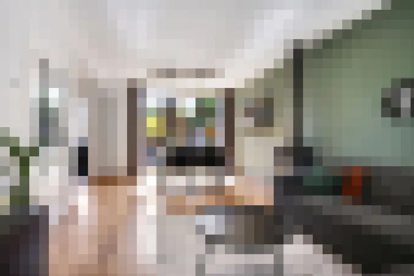 Wilhelminastraat 45 Duiven thumbnail 11