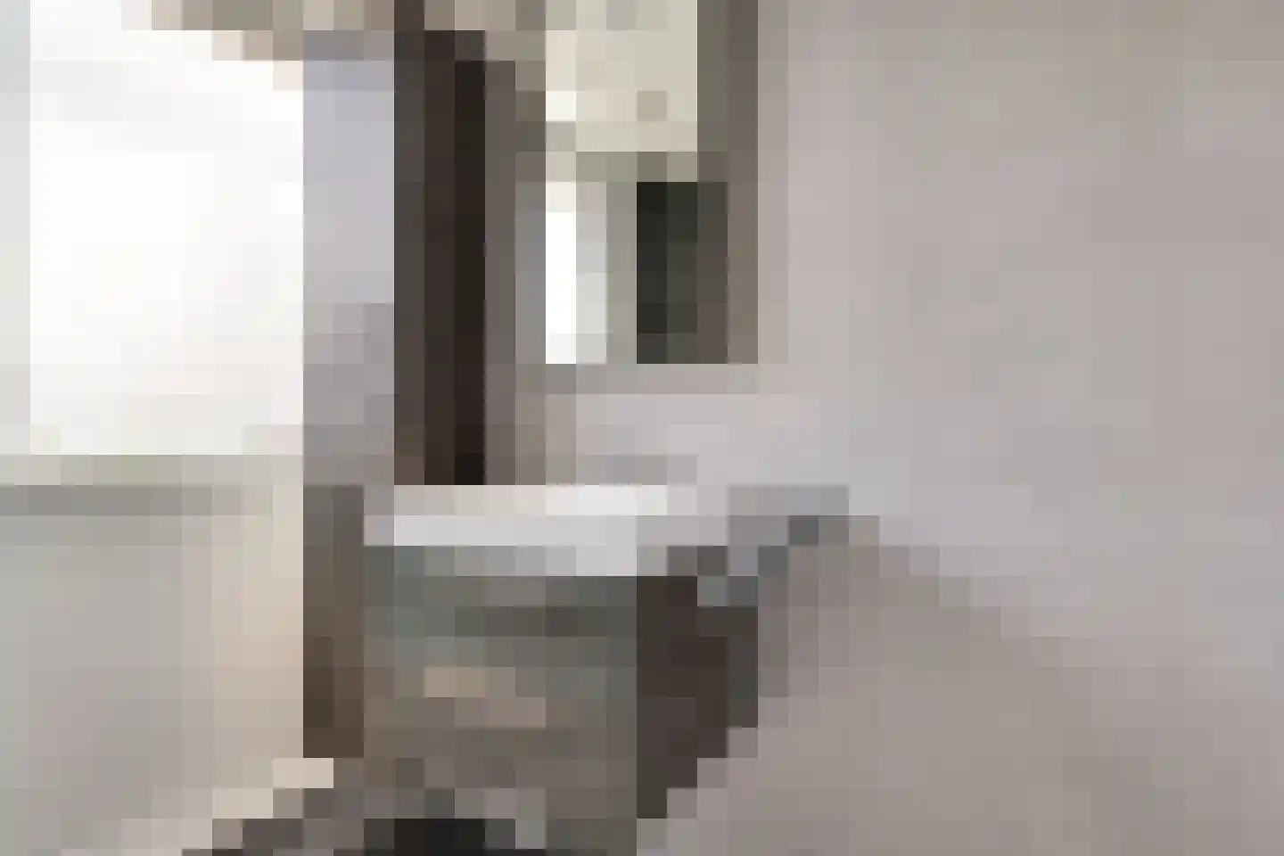 Wilhelminastraat 45 Duiven thumbnail 27
