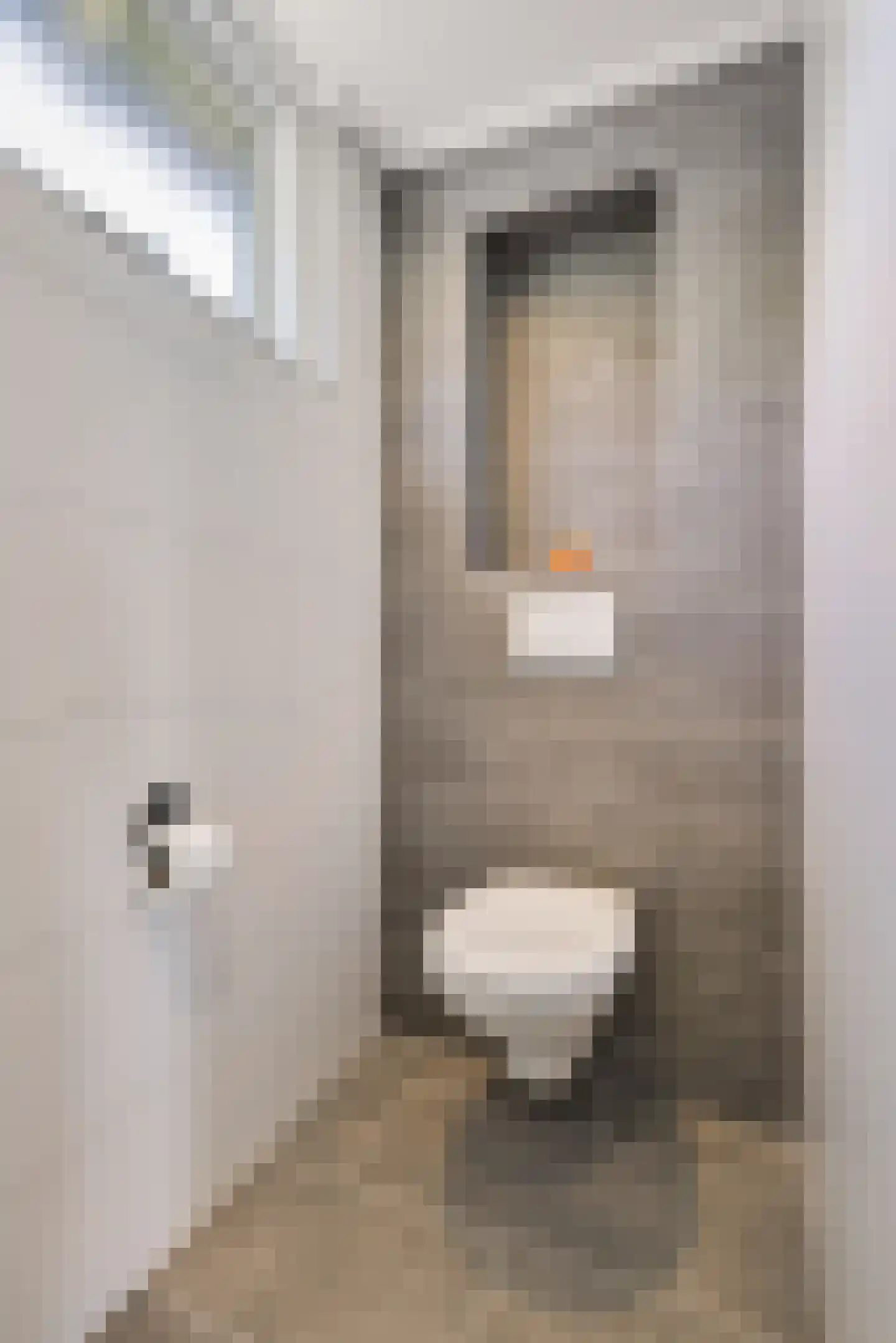 Wilhelminastraat 45 Duiven thumbnail 32
