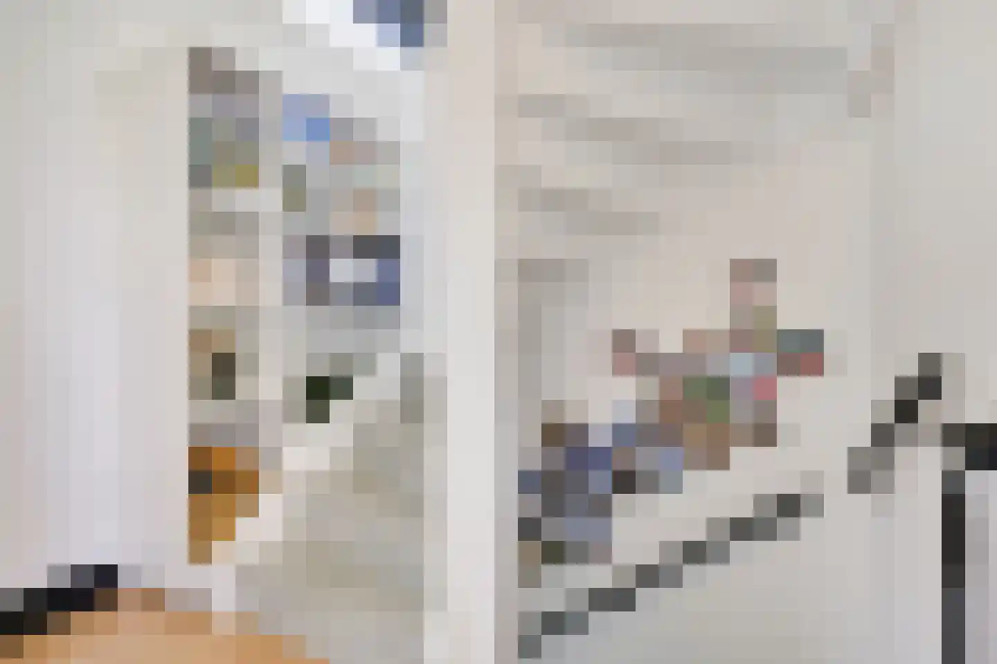 Wilhelminastraat 45 Duiven thumbnail 33