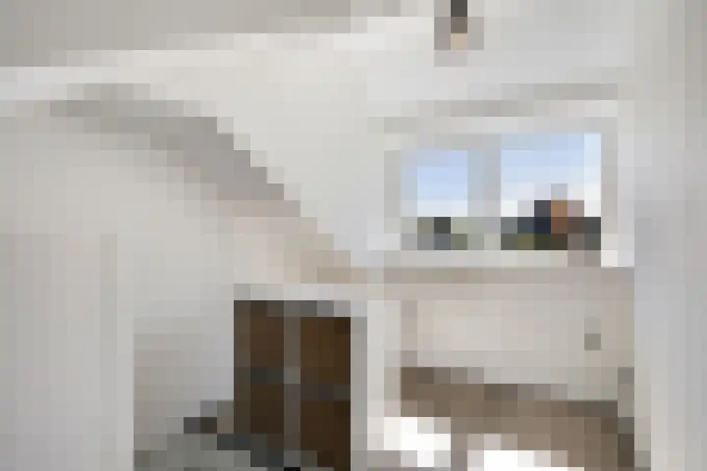 Wilhelminastraat 45 Duiven thumbnail 35
