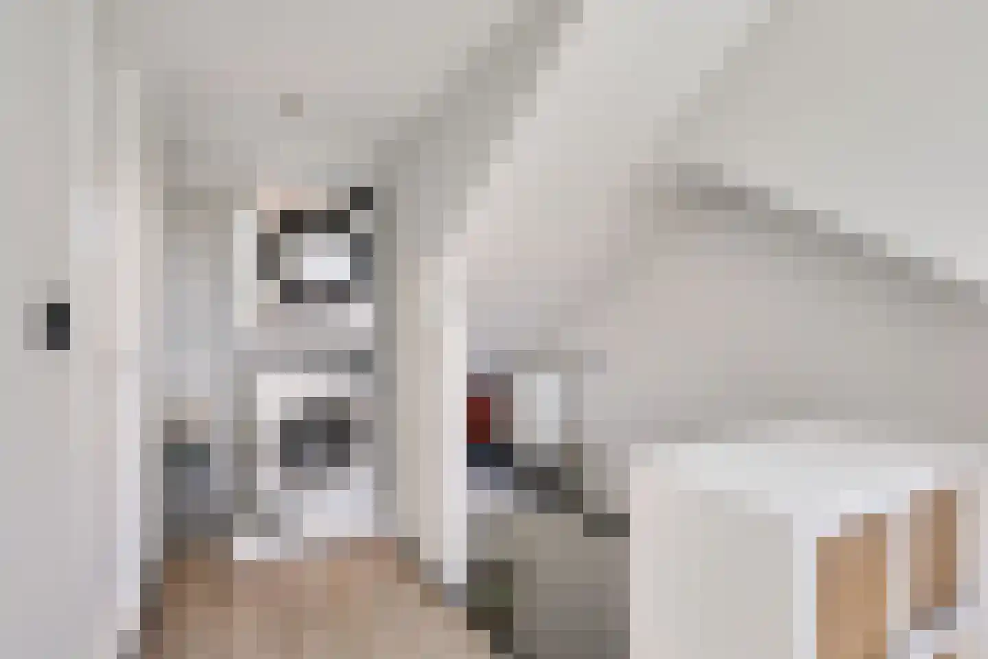 Wilhelminastraat 45 Duiven thumbnail 36