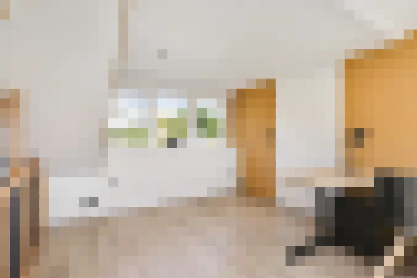Wilhelminastraat 45 Duiven thumbnail 39