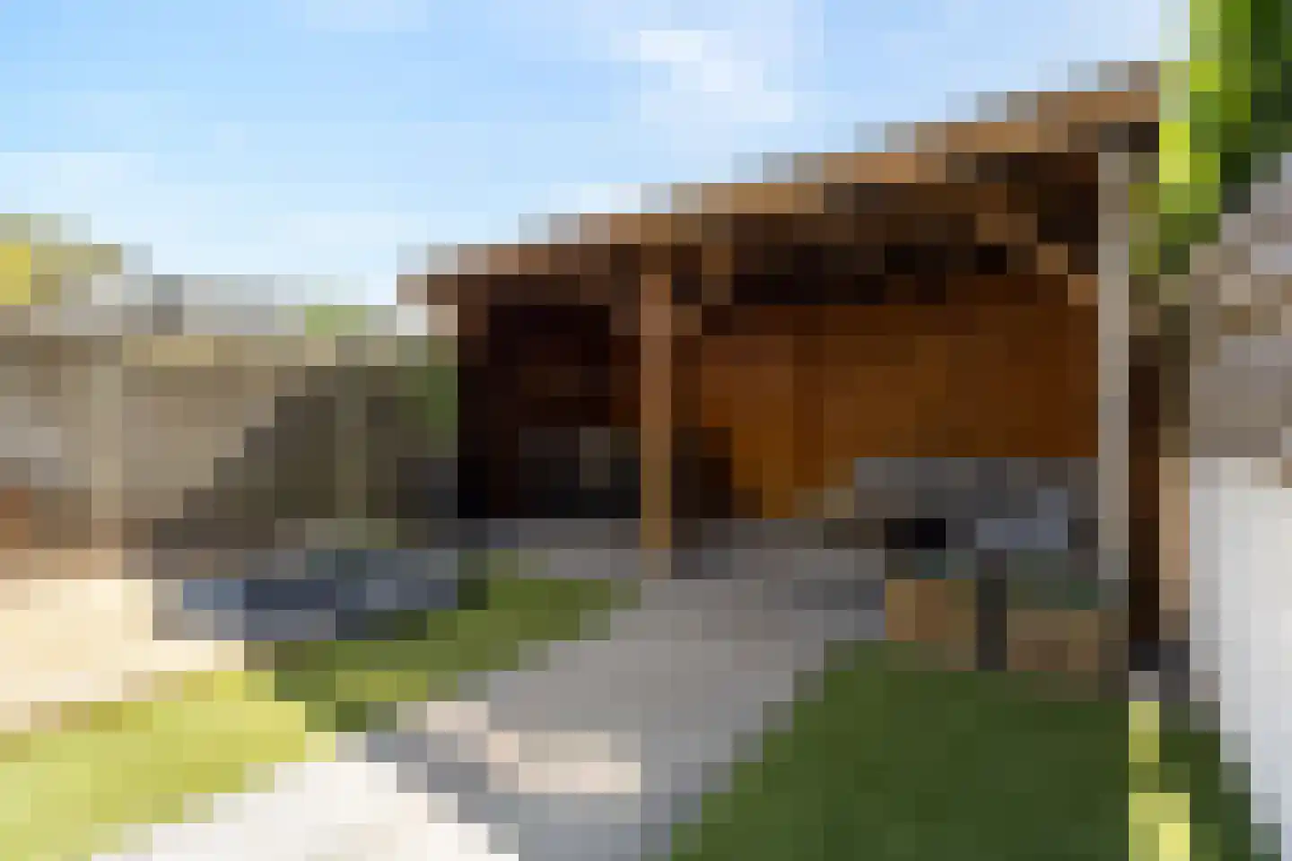 Wilhelminastraat 45 Duiven thumbnail 4