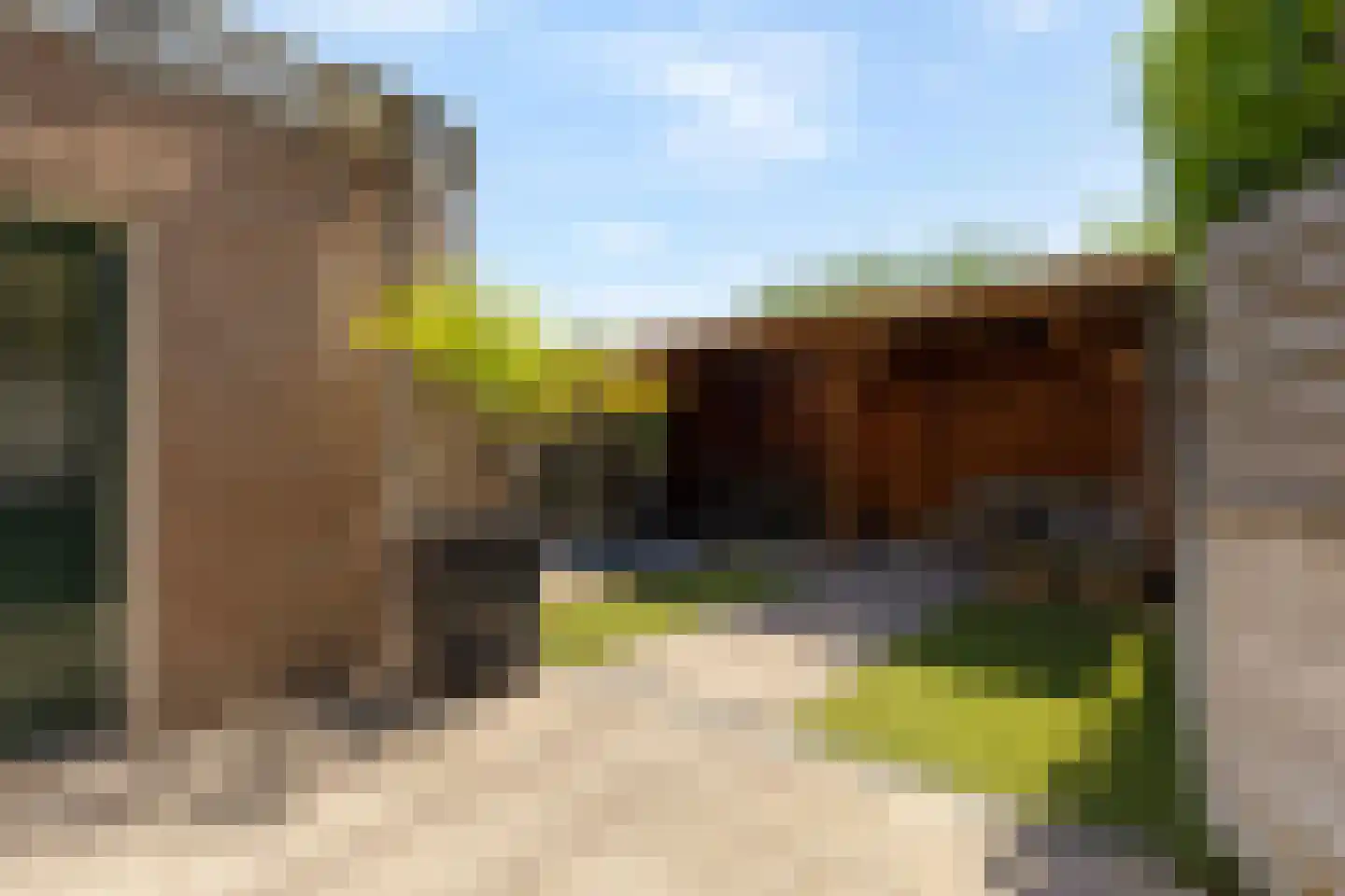 Wilhelminastraat 45 Duiven thumbnail 44