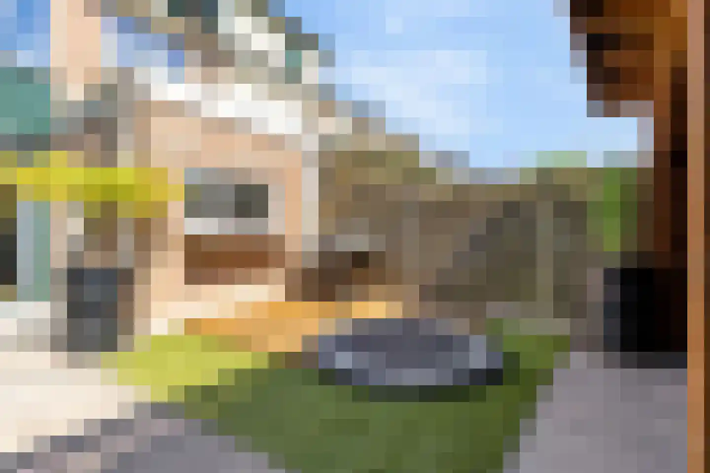 Wilhelminastraat 45 Duiven thumbnail 45