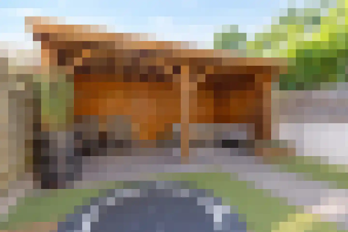 Wilhelminastraat 45 Duiven thumbnail 47