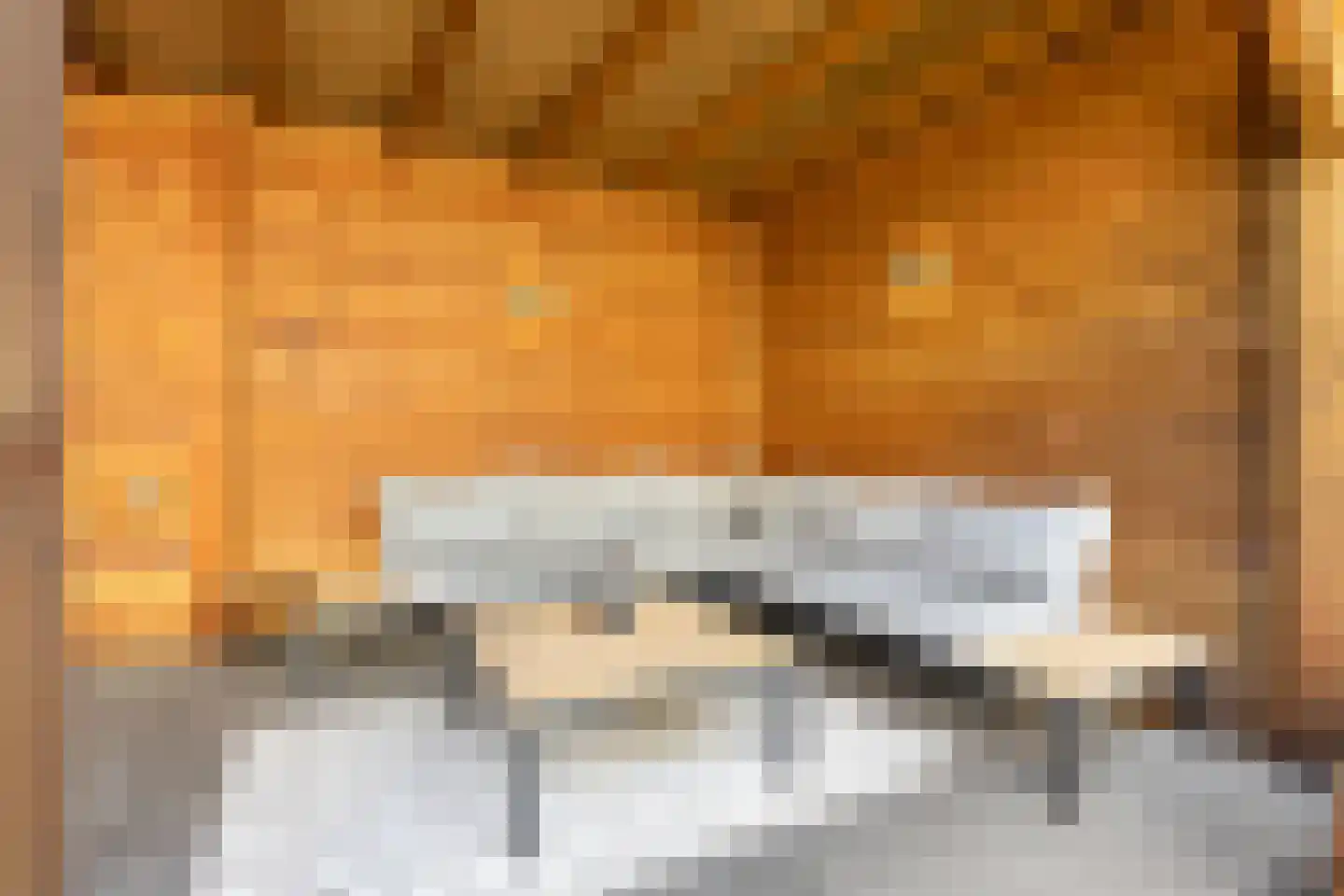 Wilhelminastraat 45 Duiven thumbnail 48