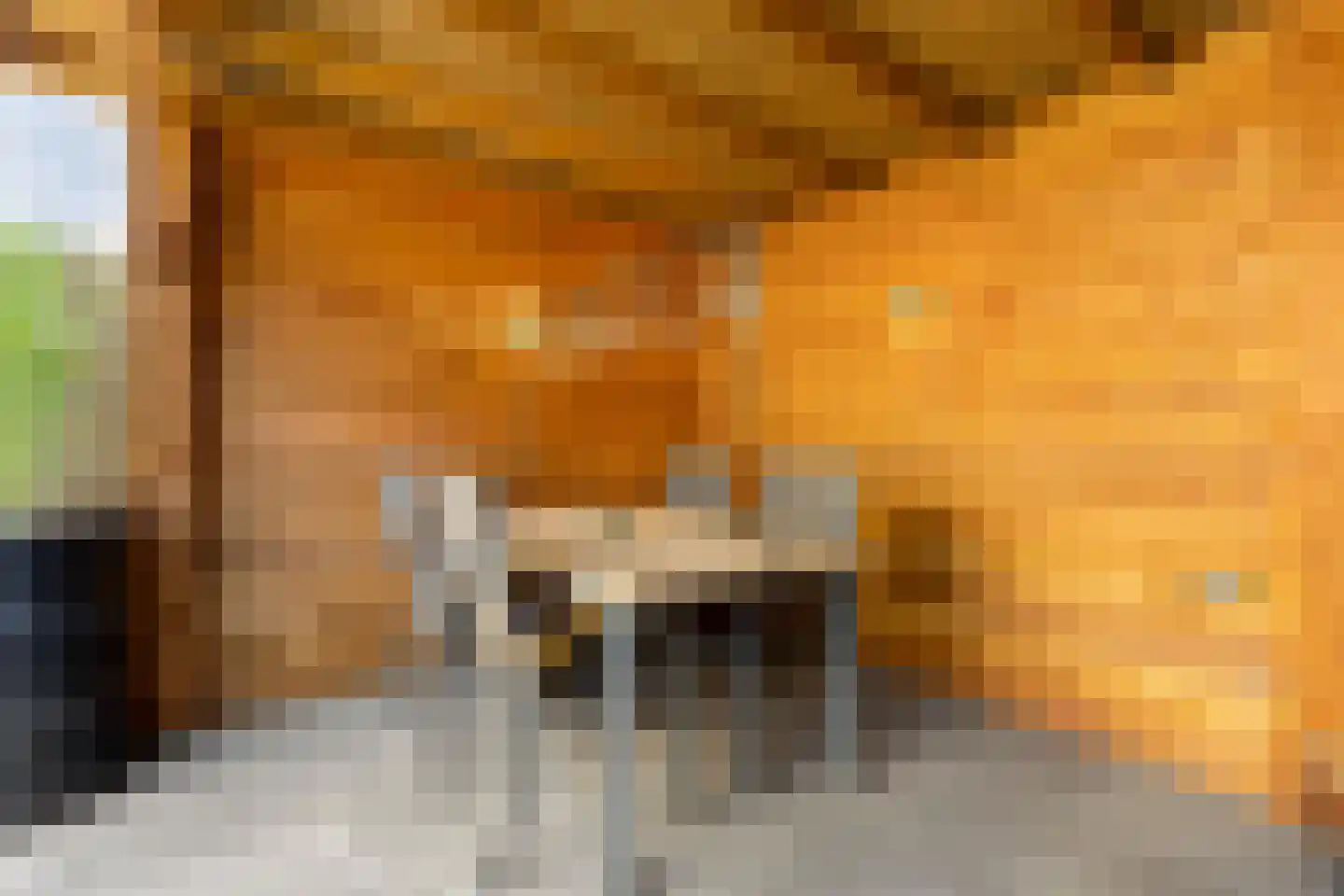Wilhelminastraat 45 Duiven thumbnail 49