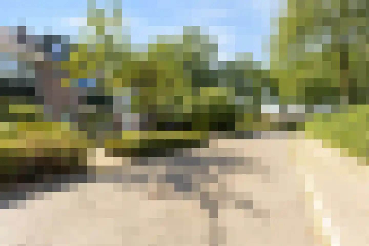 Wilhelminastraat 45 Duiven thumbnail 60