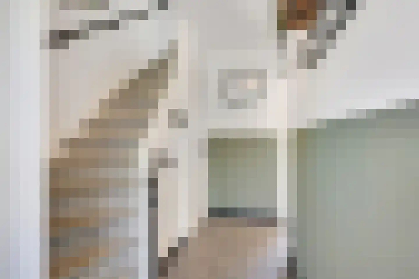 Wilhelminastraat 45 Duiven thumbnail 9