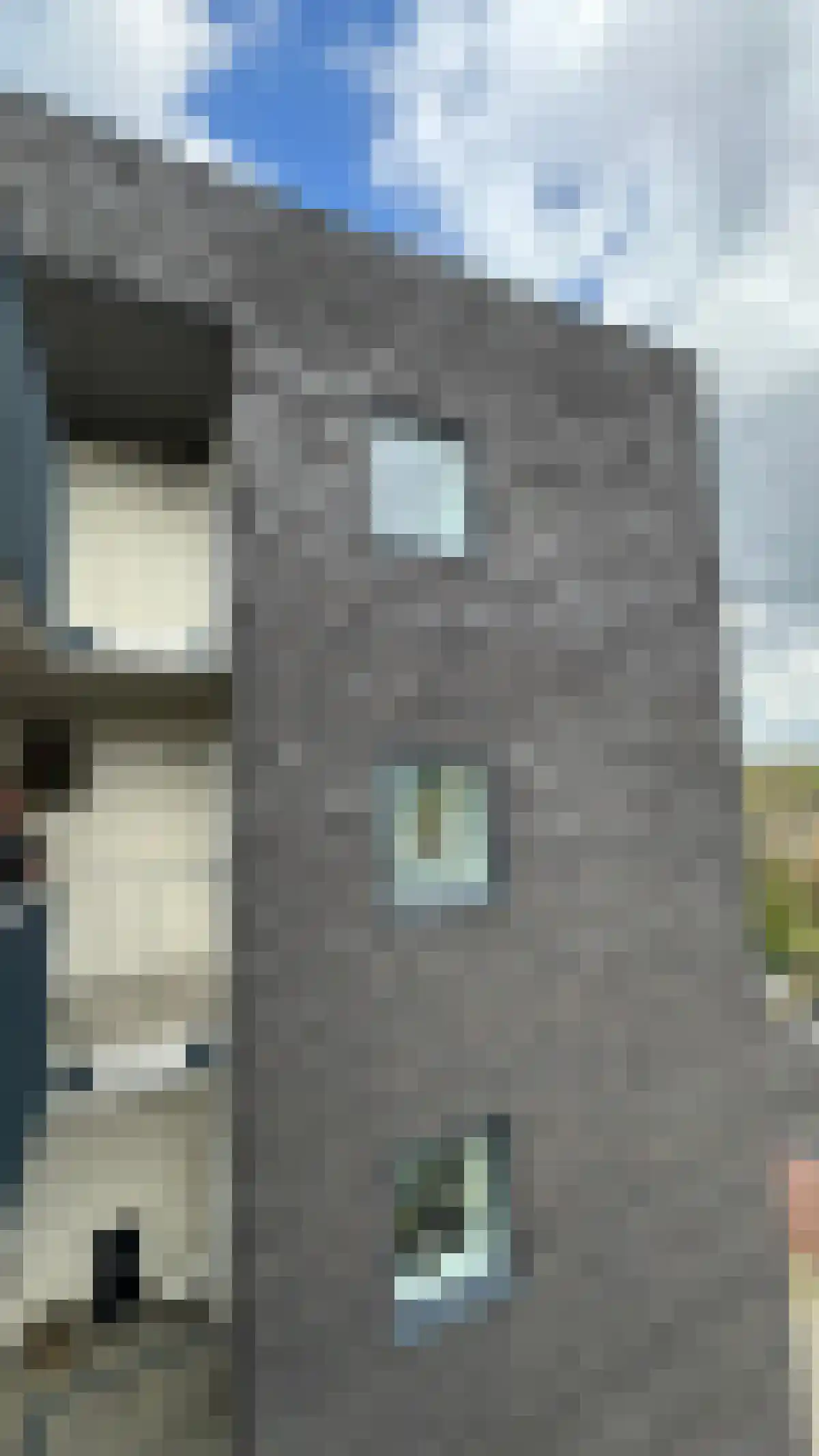 Wilhelminastraat 45 Emmen thumbnail 6