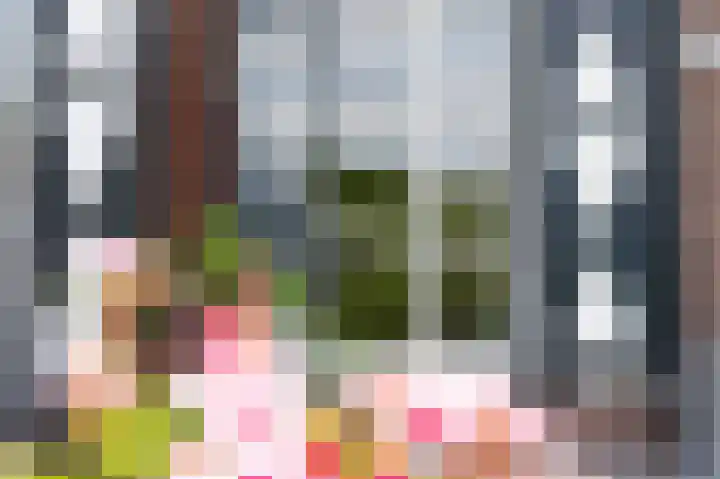 Wilhelminastraat 45 Hellevoetsluis thumbnail 56